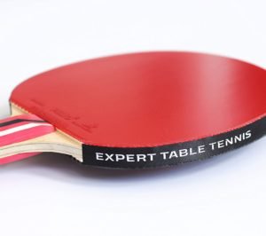 palio table tennis